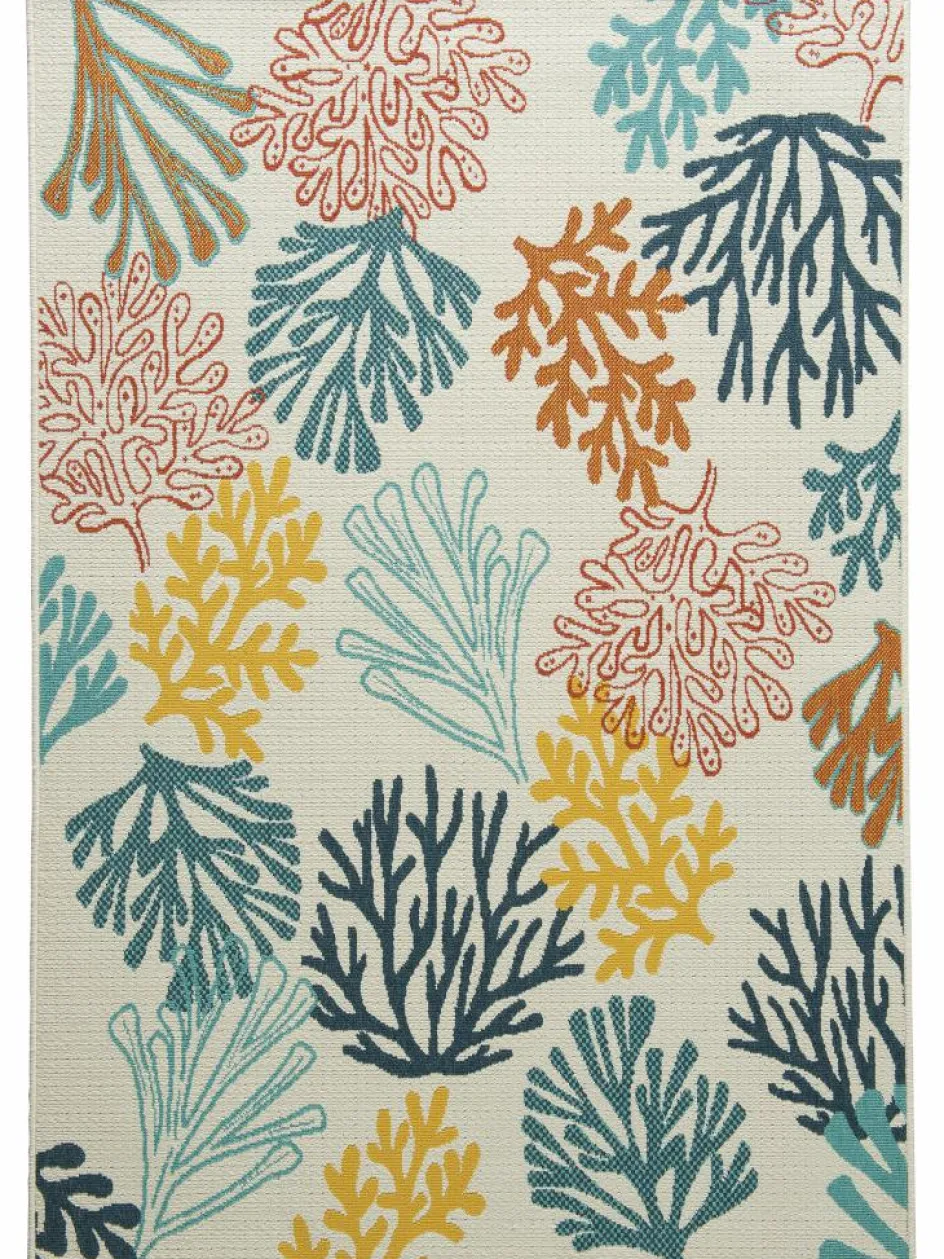 Kinder Kibek Coral Coast