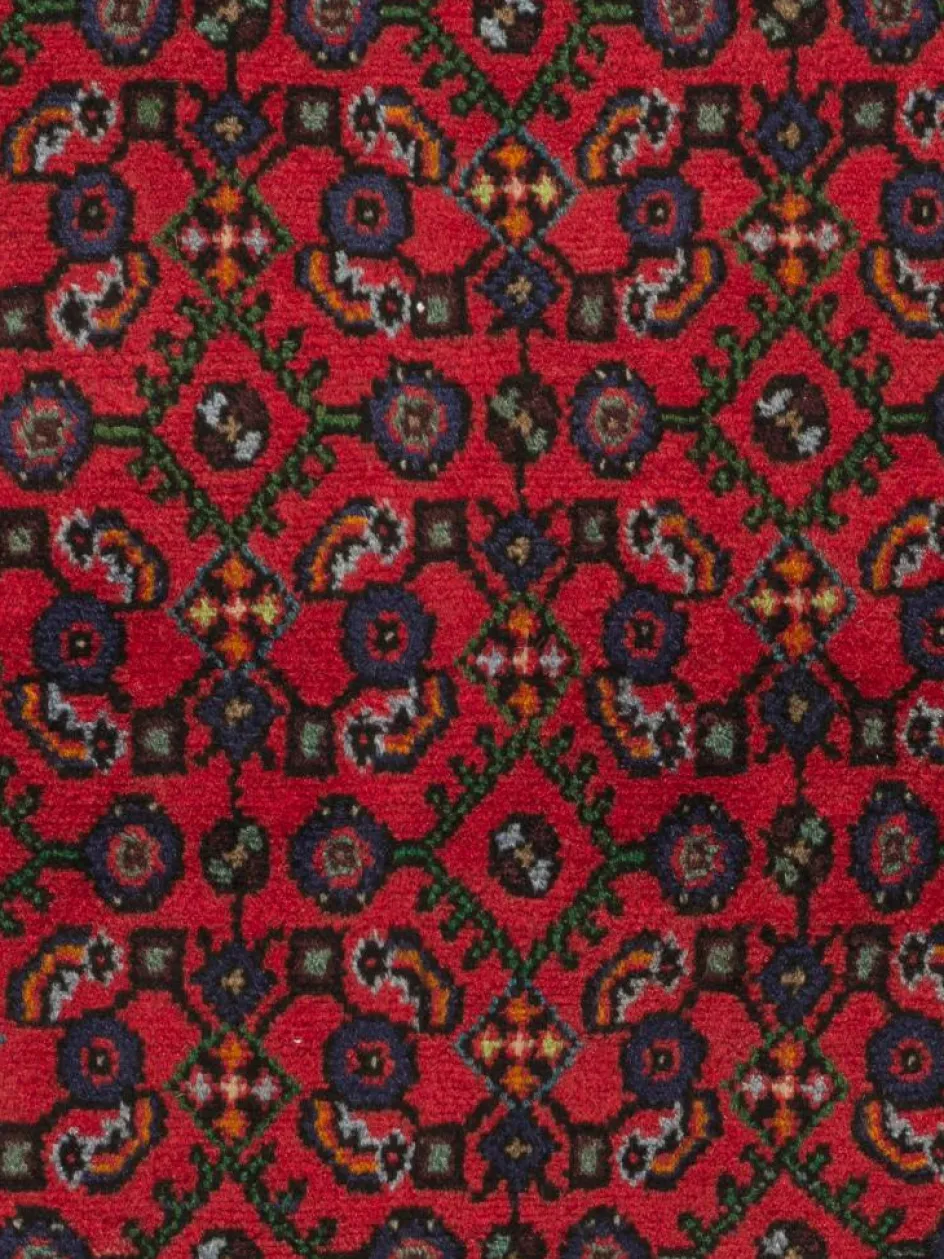 Kibek Endjelas Hamadan