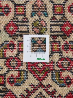 Kibek Endjelas Hamadan