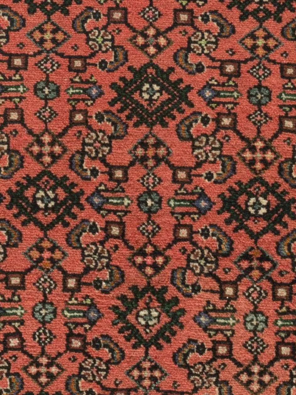 Kibek Endjelas Hamadan