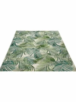 Kinder Kibek Galapagos