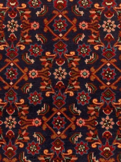 Kibek Kabutarahang Hamadan