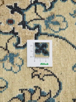 Kibek Kaschmar Nain 12 Lah