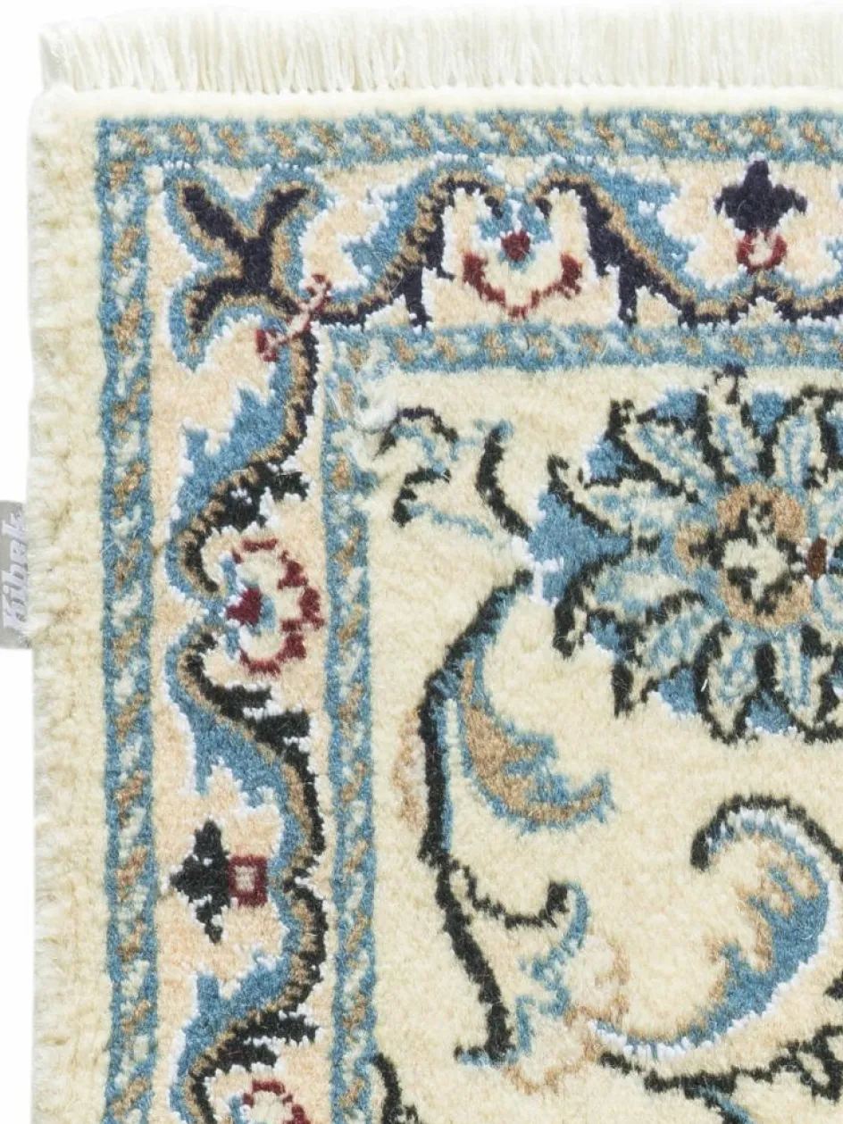 Kibek Kaschmar Nain 12 Lah