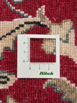 Kibek Kaschmar Nain 12 Lah