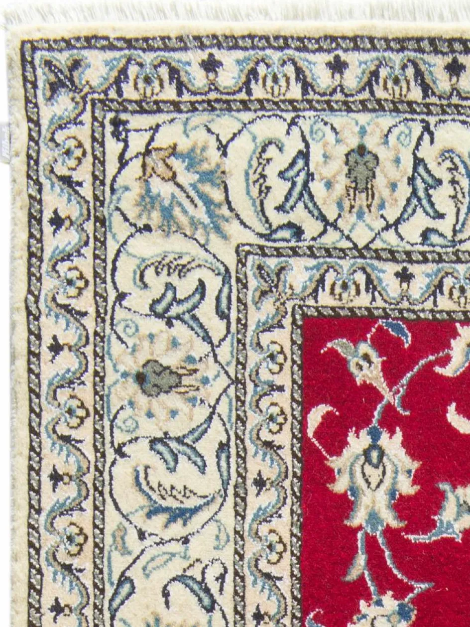 Kibek Kaschmar Nain 12 Lah