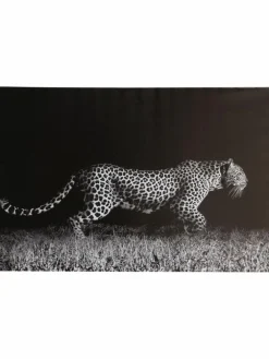 Kibek Leopard auf der Jagd