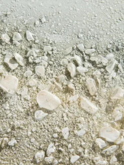 Kibek Möwen am Strand