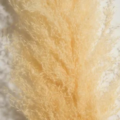 Kibek Pampasgrasbündel 3er