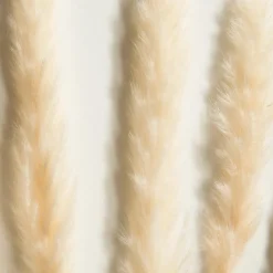 Kibek Pampasgrasbündel 6er