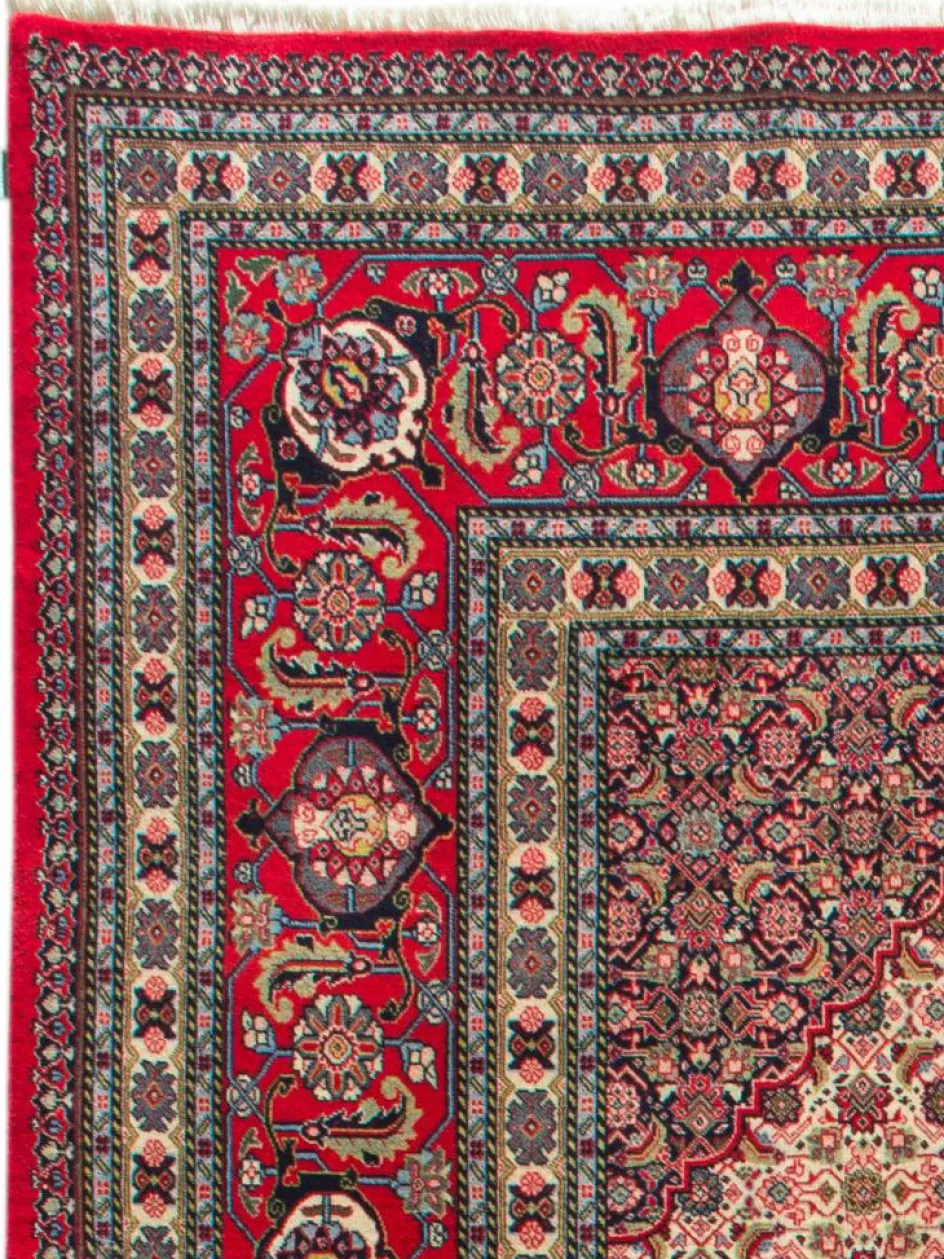 Kibek Sarough Mashayekhi