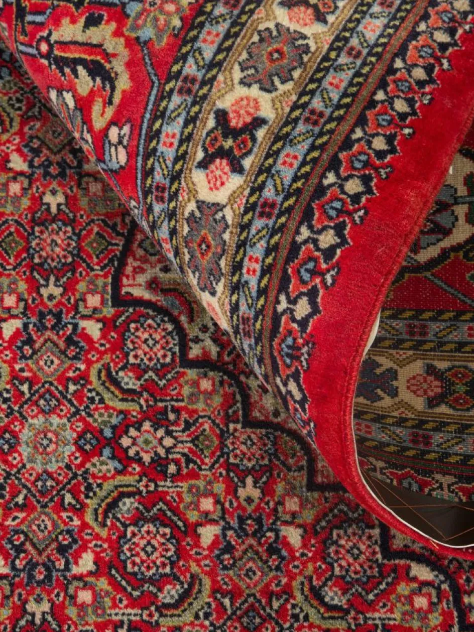 Kibek Sarough Mashayekhi