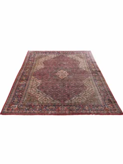 Kibek Sarough Mashayekhi