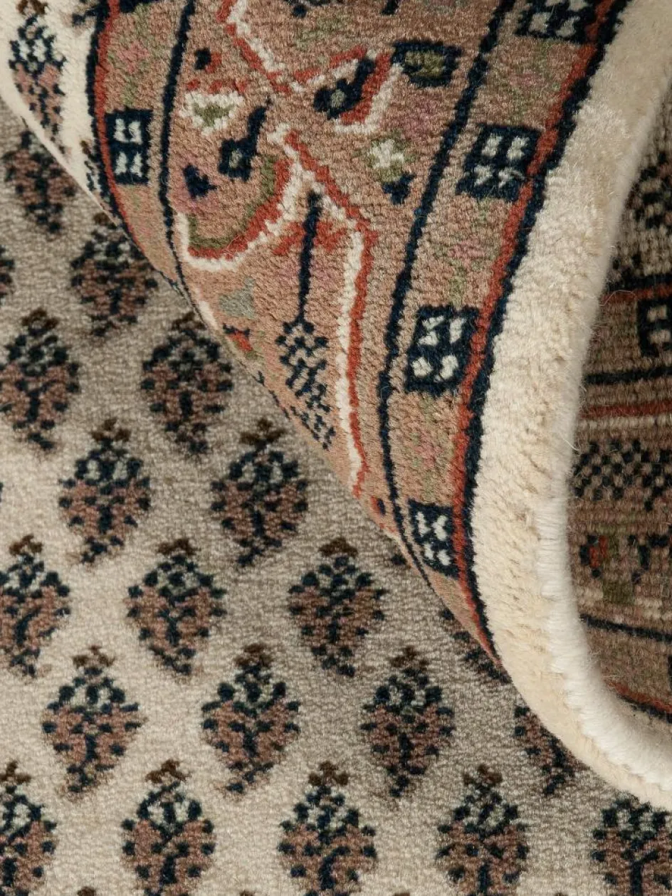 Kinder Kibek Sarough Mir