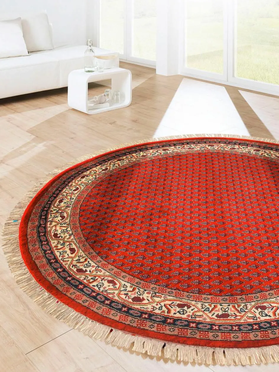 Kinder Kibek Sarough Mir