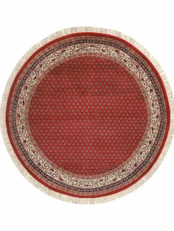 Kinder Kibek Sarough Mir