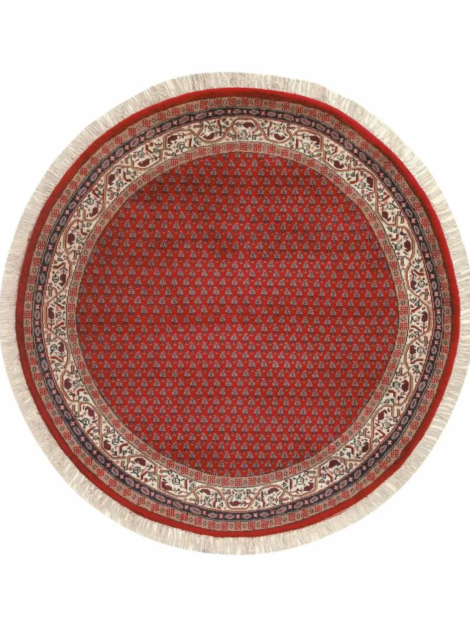 Kinder Kibek Sarough Mir