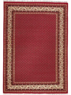 Kinder Kibek Sarough Mir