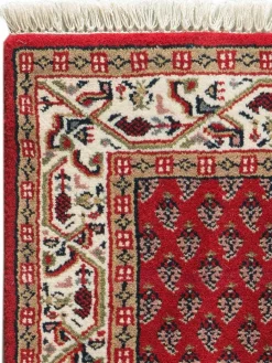 Kinder Kibek Sarough Mir