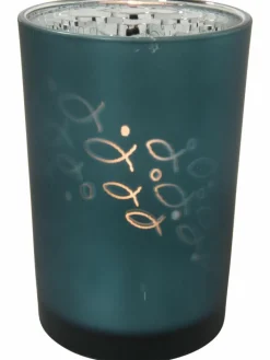 Kibek School of Fish