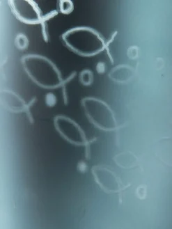 Kibek School of Fish