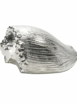 Kibek Seashell