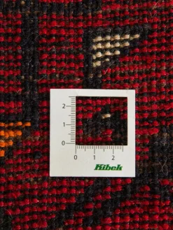 Kibek Shiraz Befarma