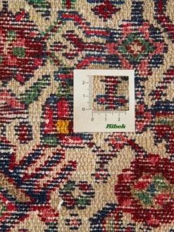 Kibek Tadjabad Hamadan