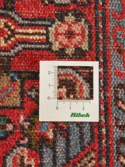 Kibek Tadjabad Hamadan