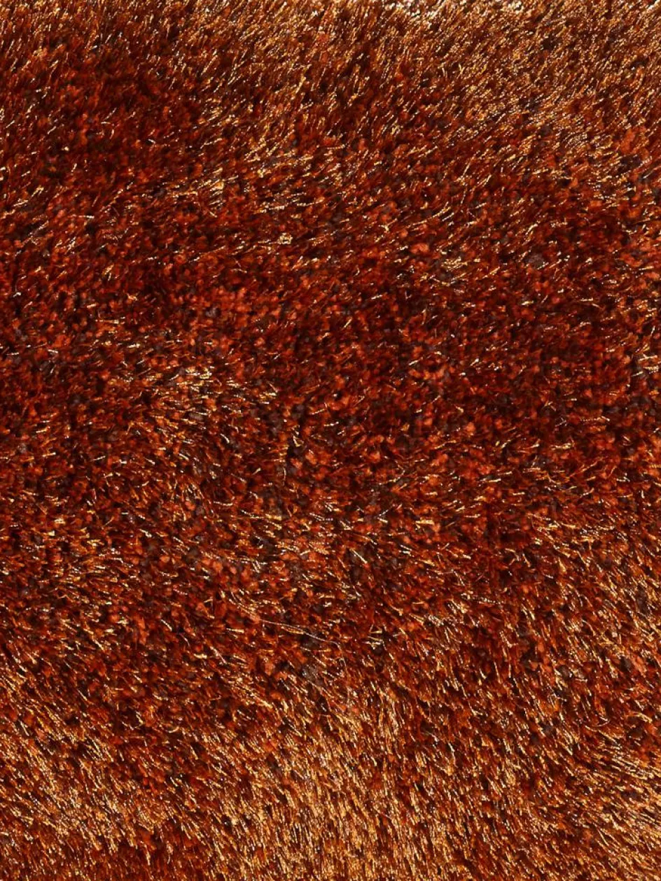 Kinder Kibek Vernissage